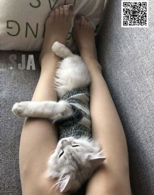 韩剧在线_在线手机观看